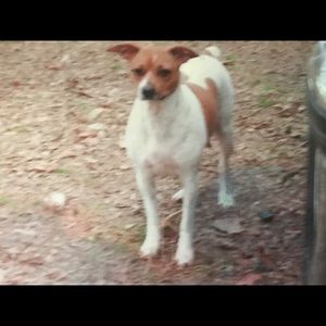 Meet your Posher, Debra